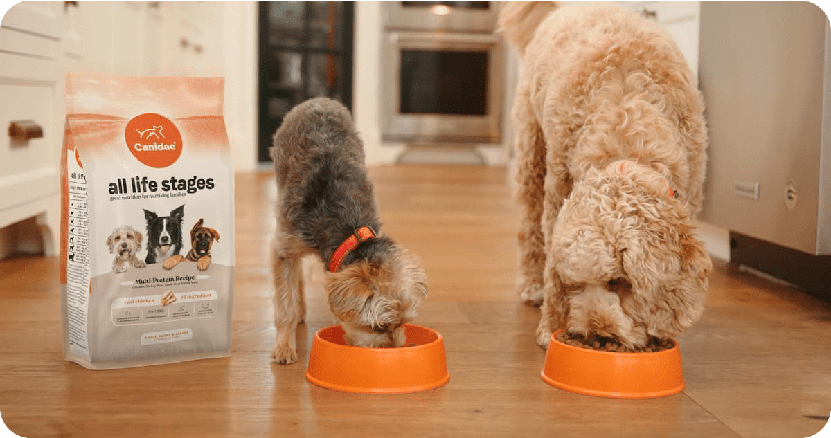 Canidae All Life Stages