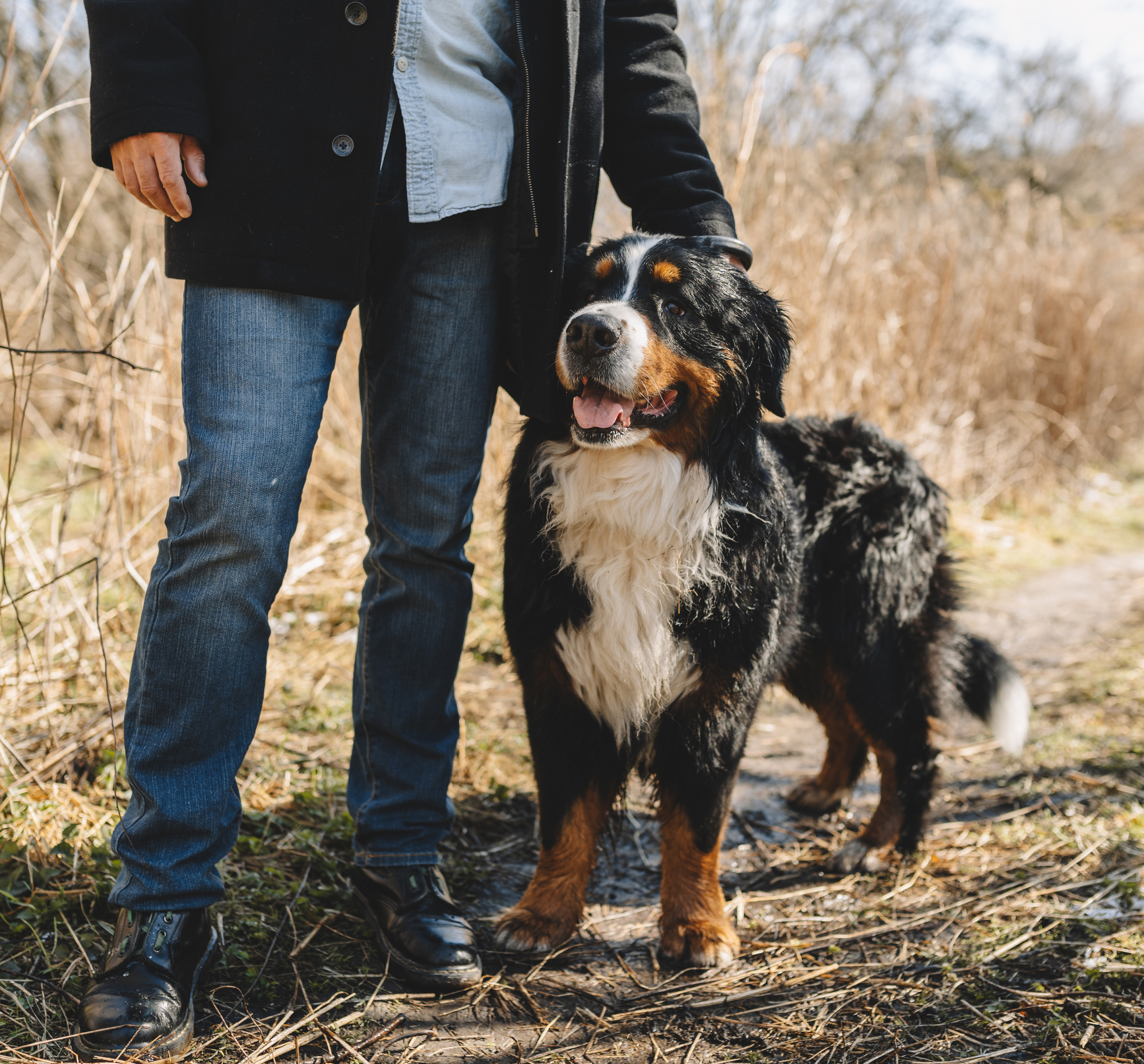 Goodness for everyone