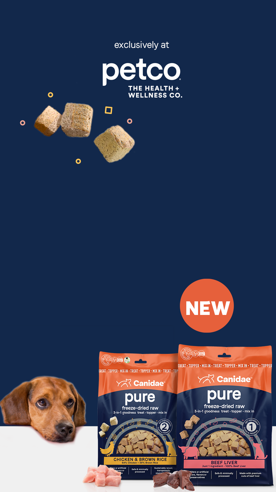 Can You Change Dog Food Flavors Should You Change Dog Food Flavors