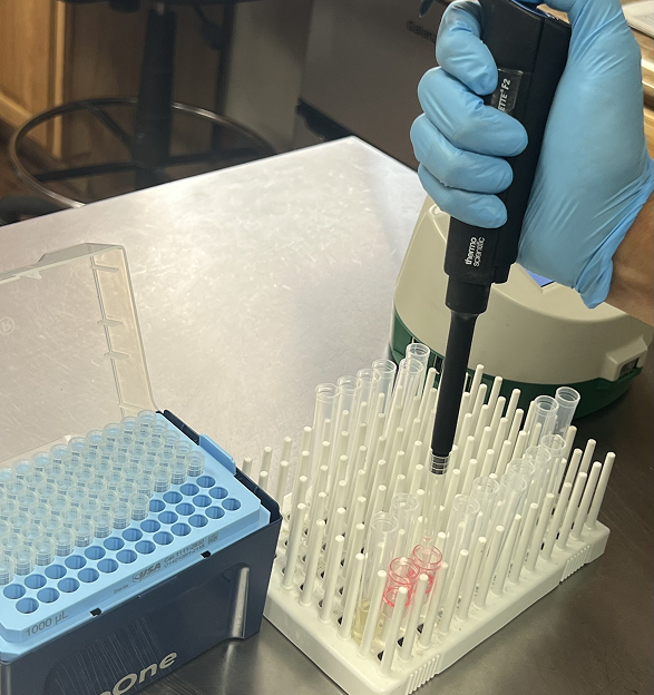 Scientist testing dog food