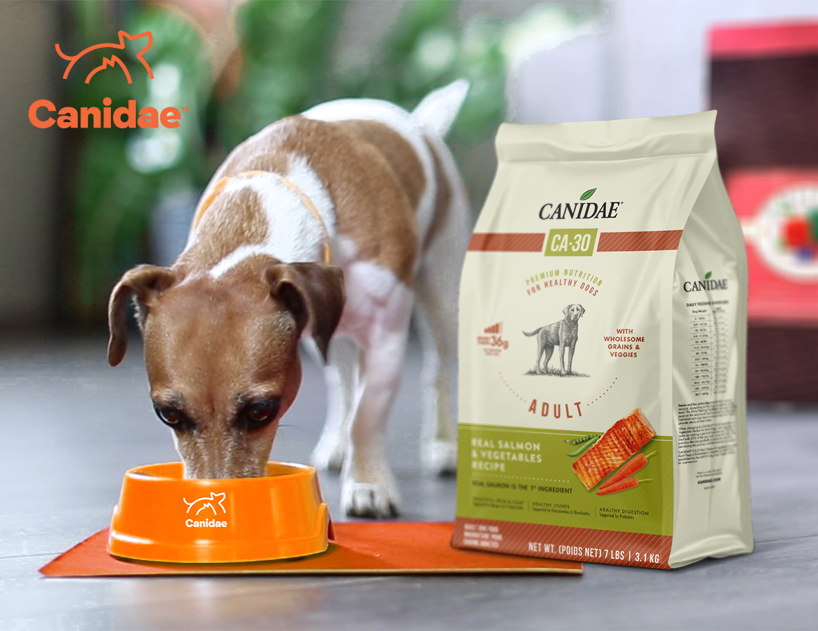 What’s the Best Pet Food for My Dog? Canidae CA30 Real Salmon vs