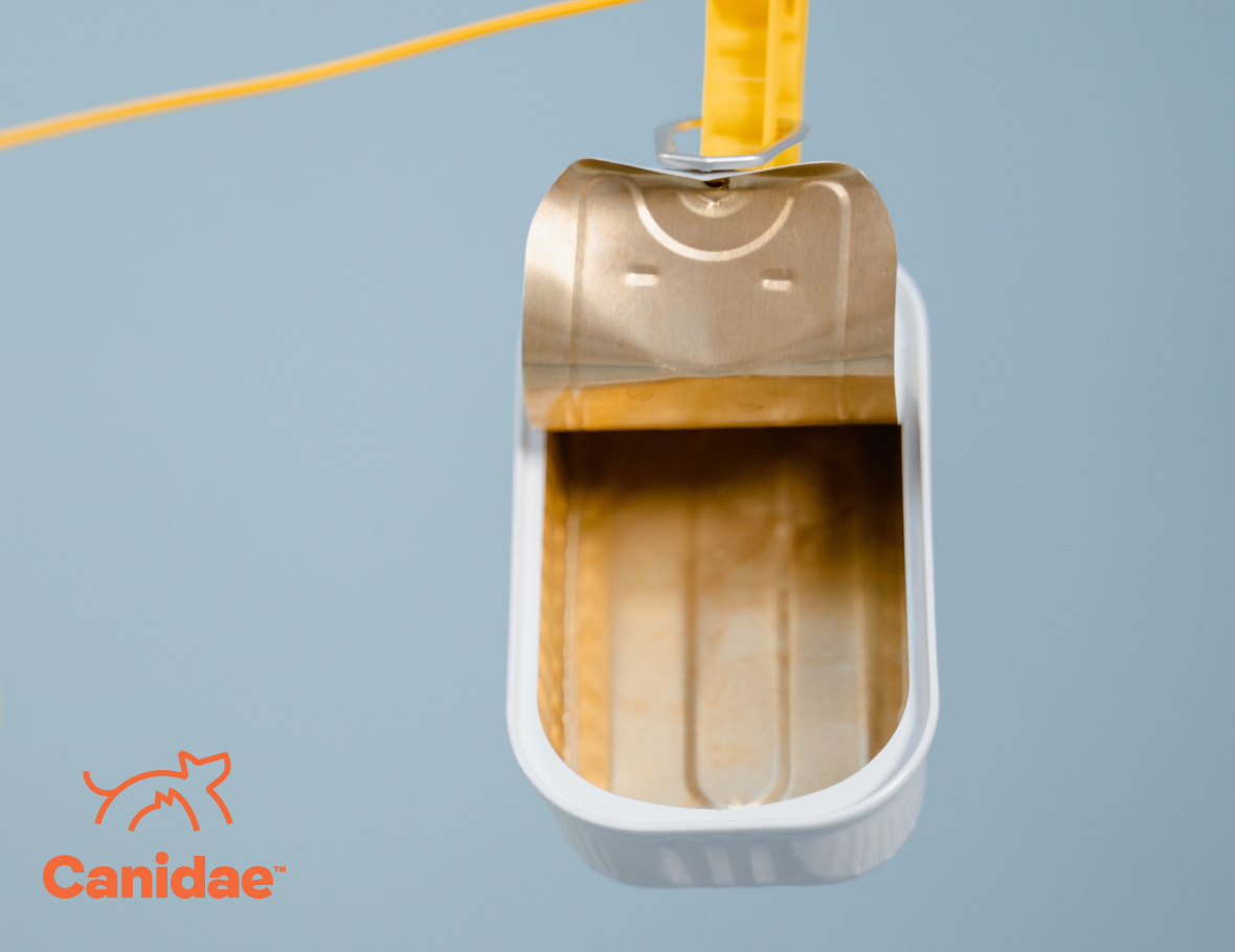 Pet Food Shortage 2022 Why Can't I Find My Cat Food or Dog Food? Canidae