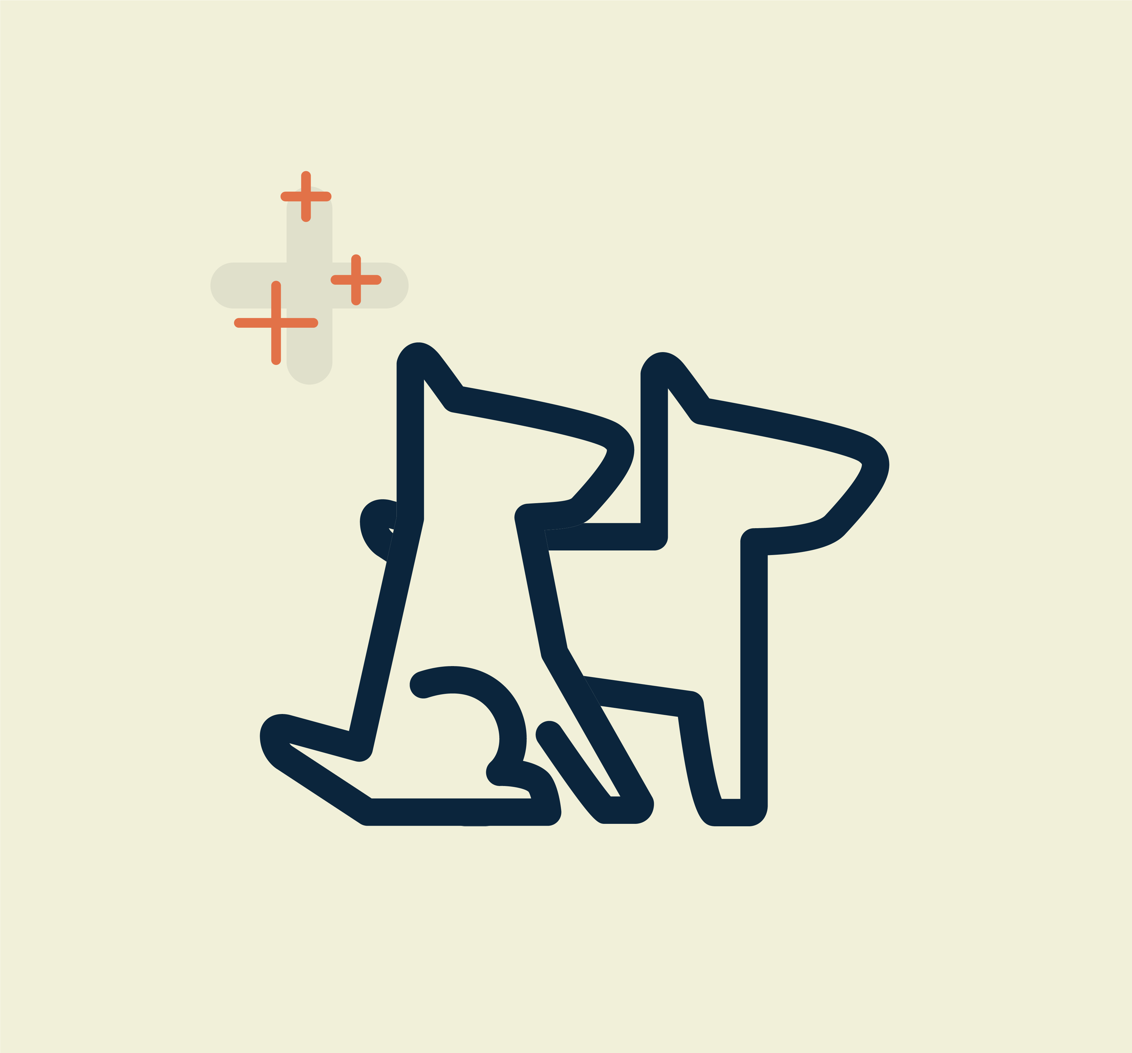 Canidae Pet Food