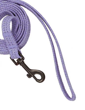 Canidae Leash