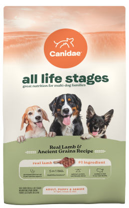 Multi-Protein Recipe