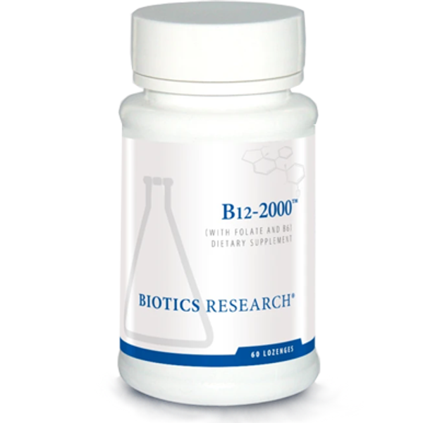 B12 - 2000 B12 - 2000