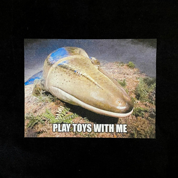 Catfishbbq Toys T-Shirt