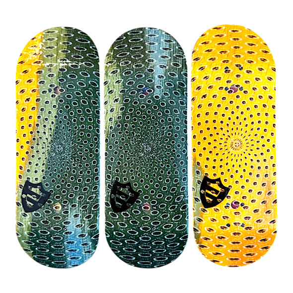 FlatFace G16 Deck - 32mm - Radiant Circles - Real Wear