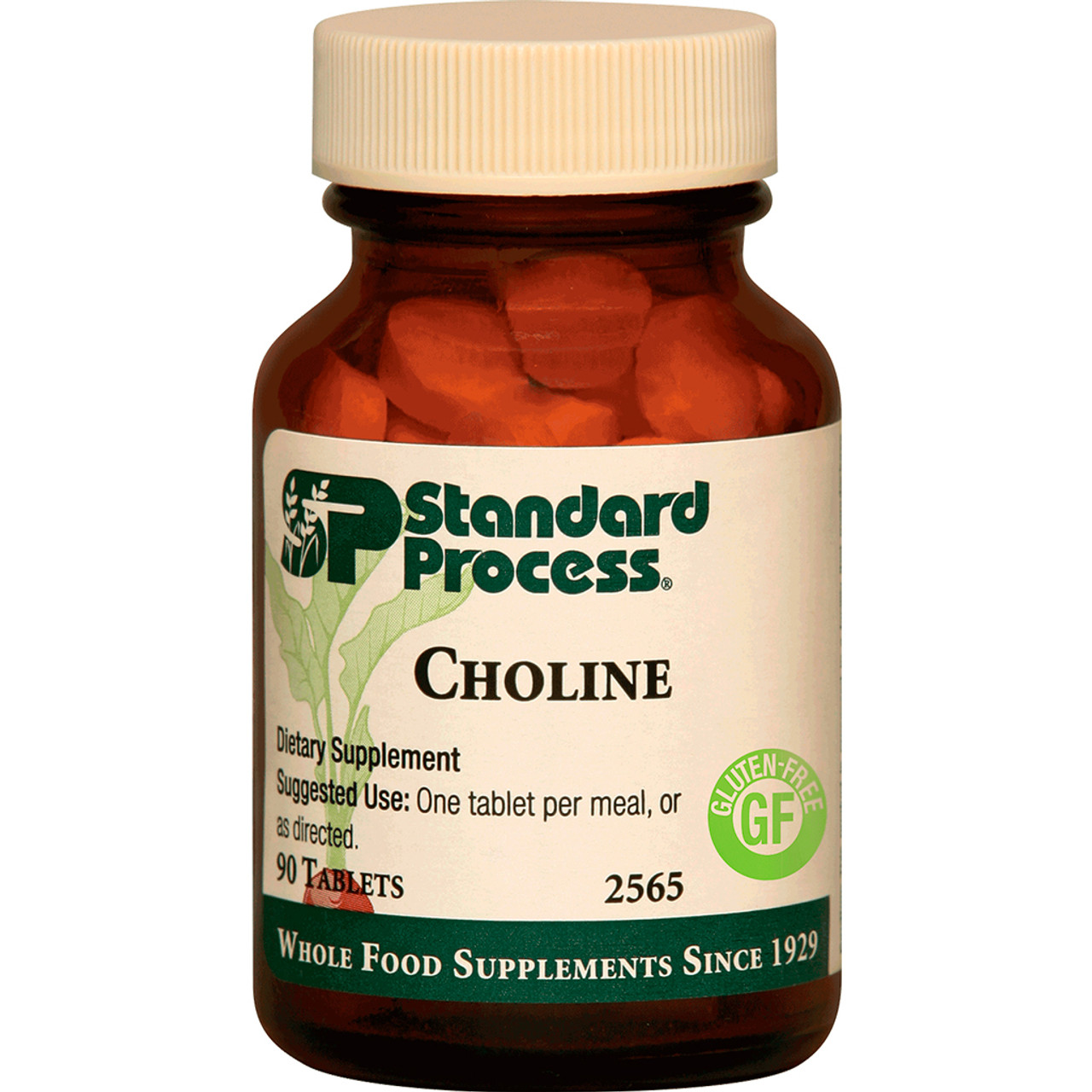 Choline by Standard Process