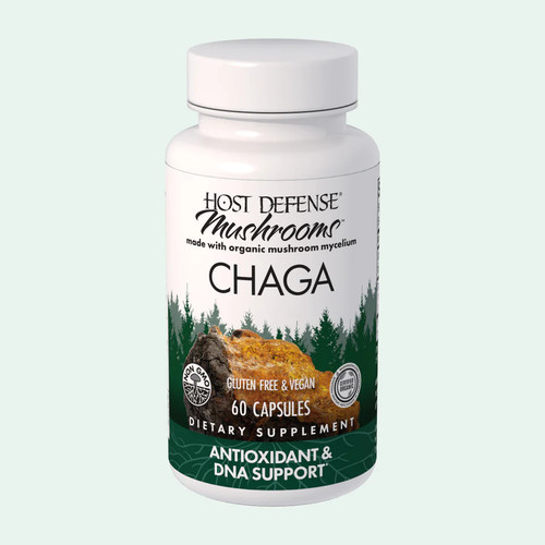 CHAGA 60 CAPSULES