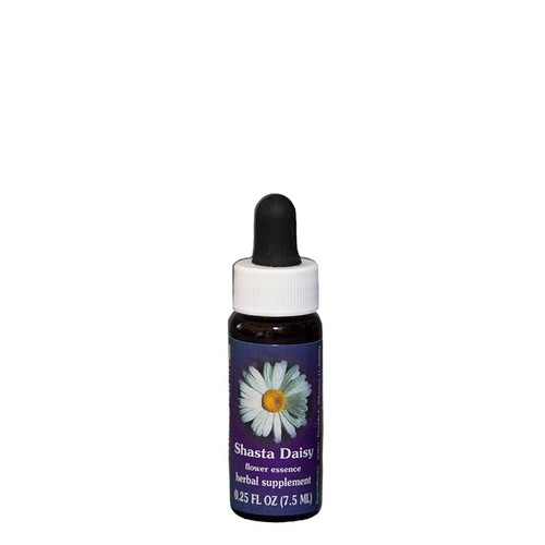 SHASTA DAISY 0.25 FL OZ Flower Essence Services