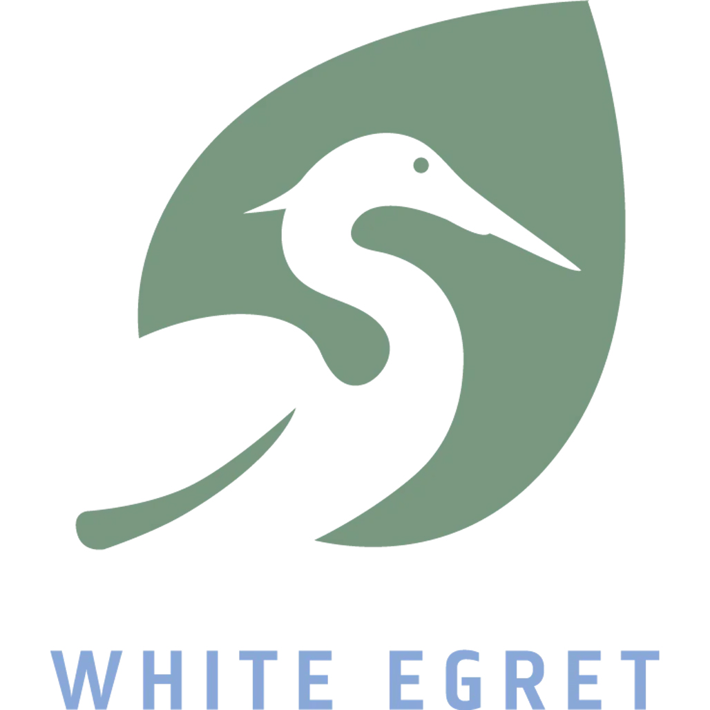 White Egret 