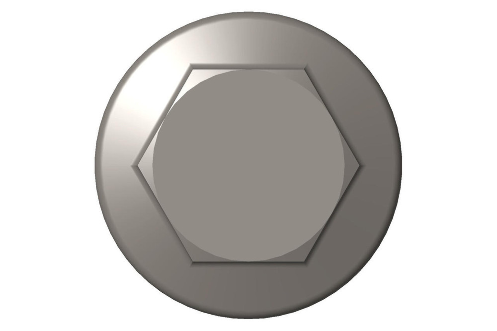 Hexagon FlanHead Cap Screw 5486585