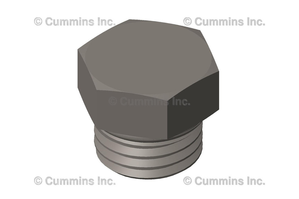 Pipe Plug 2871529