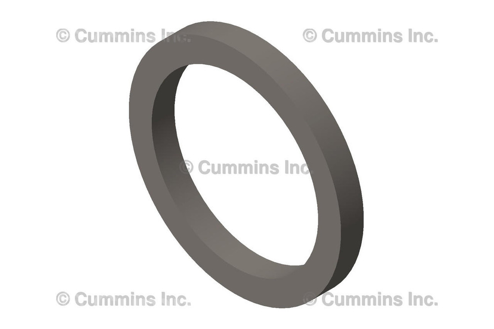 Rectangular Ring Seal 3820030