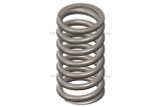 Valve Spring 3033232