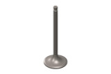 Intake Valve 5271471 Intake Valve 5271471