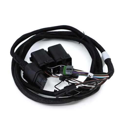 Fisher Vehicle Lighting Harness F29861-4