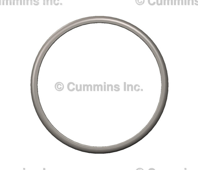 D Ring Seal 3942454 D Ring Seal 3942454