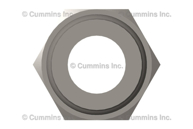 Plain Hose Coupling 4941864 Plain Hose Coupling 4941864