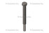 Cummins Hexagon Head Cap Screw 4024753