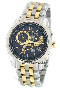 Citizen Calibre 8700 Perpetual Mens Watch BL8004-53E