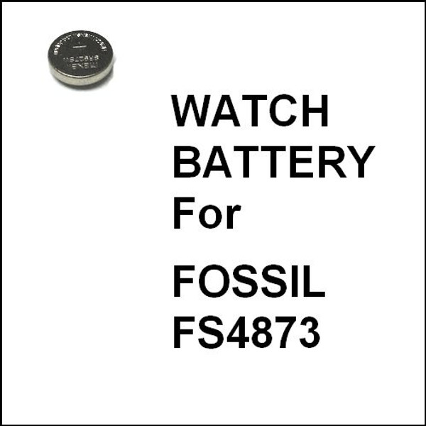 fossil fs4873