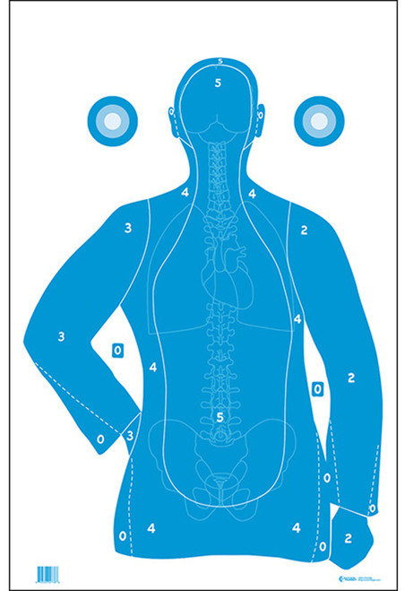 Action Target FB21EANTAV2100 B-21E Anatomy Training Silhouette Paper Hanging Target 23x35 Box of 100