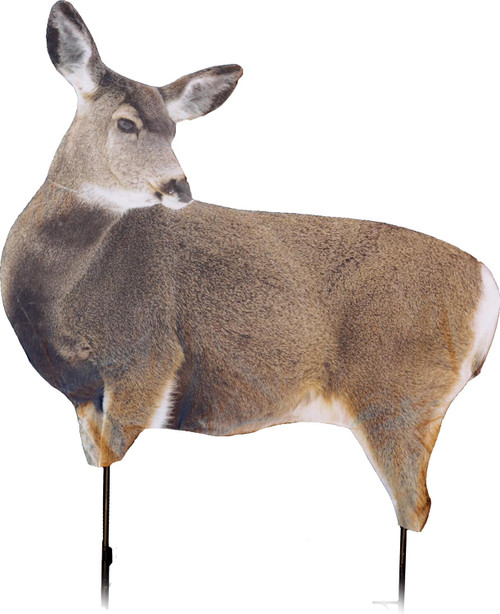 Montana Decoy Miss Muley Realistic Mule Deer Decoy