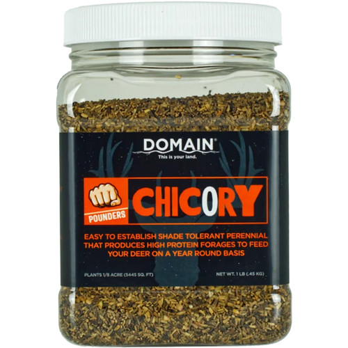 Domain Pounder 1 lb. Chicory Seed – 1/8 Acre Plot