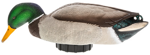 Avian-X AVXPSHMDSF Power Shaker Mallard Drake Surface Feeding Foam-Filled Decoy