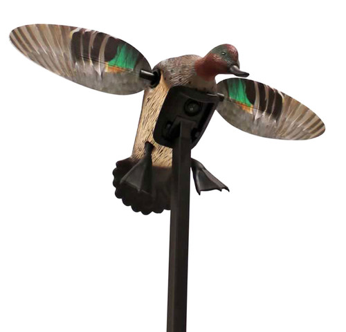Mojo Outdoors Elite Green Winged Teal Duck Species Spinning Wing Decoy, Remote Compatible