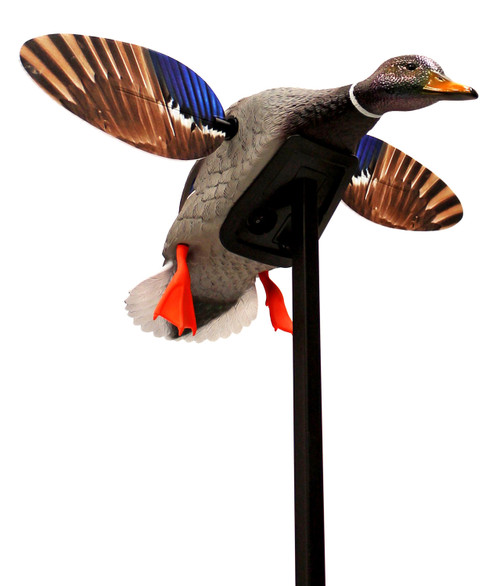 Mojo Outdoors Elite Mini Mallard Drake Species Decoy, Multi Color Plastic, HW24703P