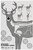 Allen 15810 Deer Vitals Corrugated Target Hanging Paper 23" x 35"