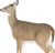 Montana Decoy Co Dreamy Doe Decoy - Foldable Whitetail Deer Decoy