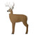 GlenDel Crossbow 3D Deer Target PolyFusion Buck Size