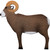 OnCore Archery Target Ram Self-Healing Foam 36"x35"