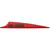 AAE Hybrid PHNX Red Archery Vanes Pack of 50