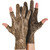 Drake Ol' Tom Stretch Fit Turkey Shooter Gloves MO Bottomland SM-MD