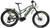 Bakcou Storm 25 Medium Electric Bicycle Matte Army Green 17" Frame SRAM 9sp 40t Front Bafang Ultra Motor