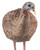 Avian X LCD Breeding Hen Turkey Decoy Multi Color Dura-Rubber