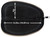 Allen Earth Tone Handgun Carry Case 6" Endura Fabric Foam Padding Full Length Zipper
