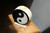 Yin-Yang Onyx desk lamp - inner peace, 8 inch diameter