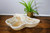 Natural Cream Onyx Stone Bowl, 20" - Rustic, live edges