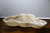 Natural Cream Onyx Stone Bowl, 20" - Rustic, live edges