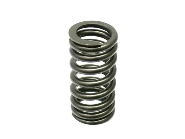 11341485590 Gen 1 MINI R50 R53 R52 Valve Spring