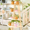 YOUBI Hinoki Plywood Support Tower stand display