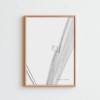DENTO TIPO A3 Picture Frame
