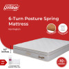 Goodnite Karrington 6 Turn Posture Spring Mattress