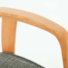 SHIRAKAWA KLIMT Dining Armchair